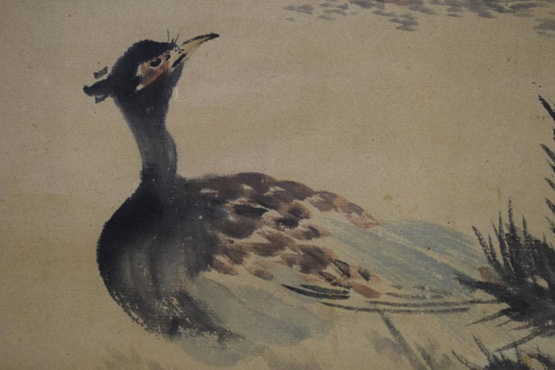 模写/伝/渡辺華山/雉子図/布袋屋掛軸HH-870