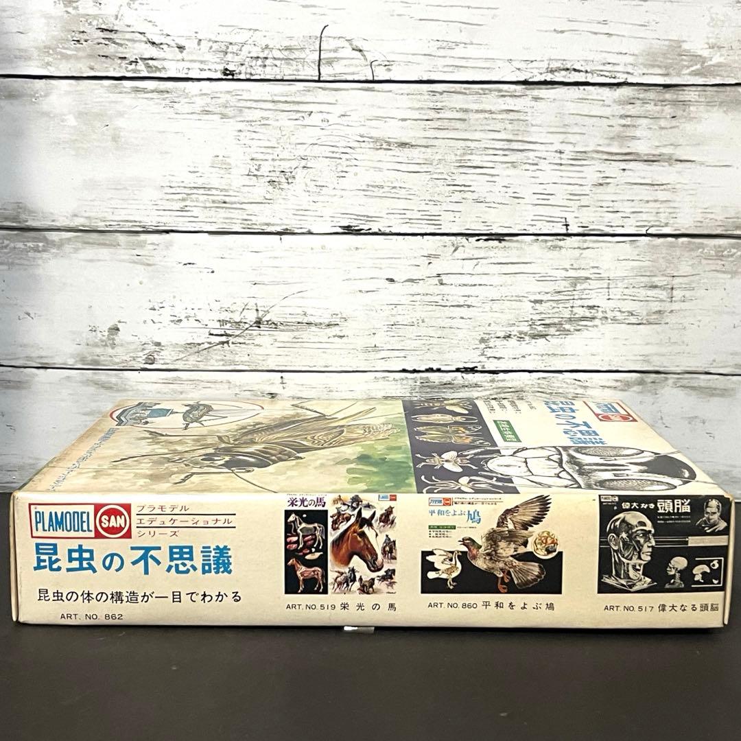 マルサンプラモデル　エディショナルシリーズ　昆虫の不思議　絶版‼︎
