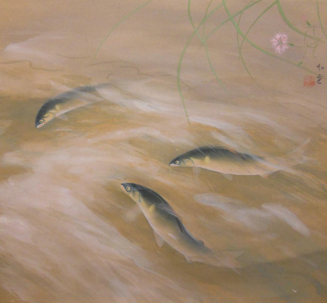 掛け軸 和雲 清流香魚 あゆ 絹本 希少 軸装 茶道具 掛軸 美品 です。