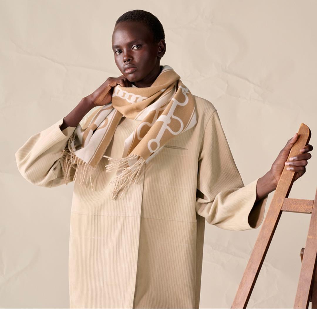 【新品未使用】　エルメス　マフラー 《モール》