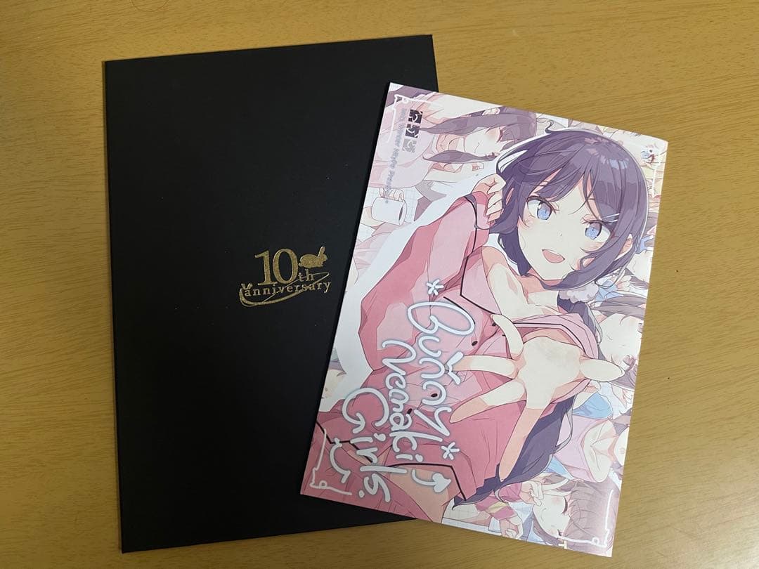 Bunny Nemaki Girls 青春ブタ野郎 コミケ　同人誌