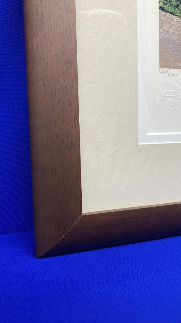 額縁b ★ マークキングゴルフシリーズ Morning Patt