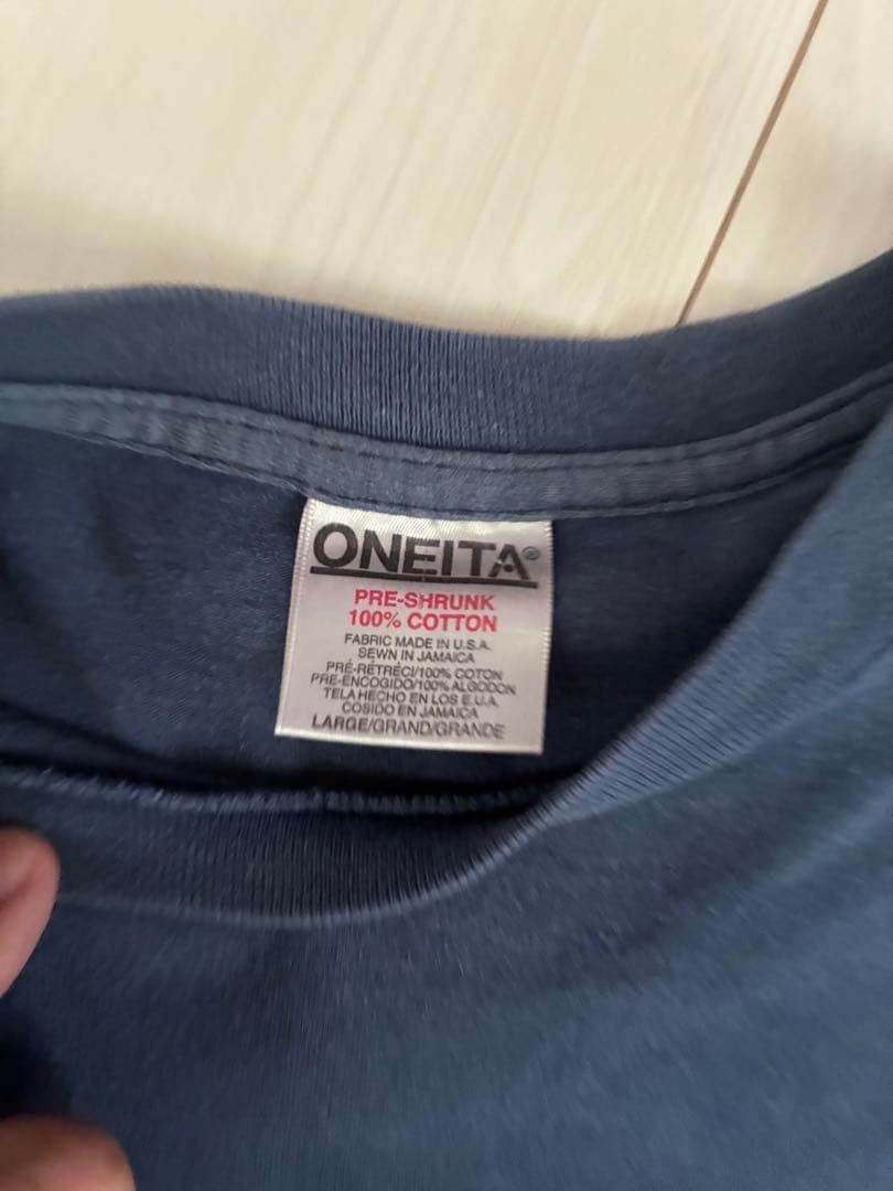 レスザンジェイクTシャツヴィンテージ90's vintageバンドT シャツ古着