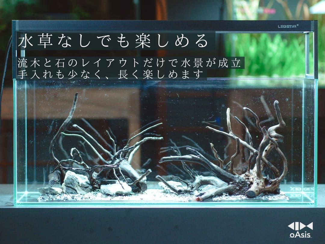 アクアリウム 流木 レイアウトセット 60cmスリム水槽　熱帯魚・水草水槽用