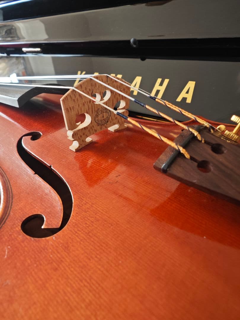 【T.K】Fiumebianca Marco M-2 バイオリン 4/4