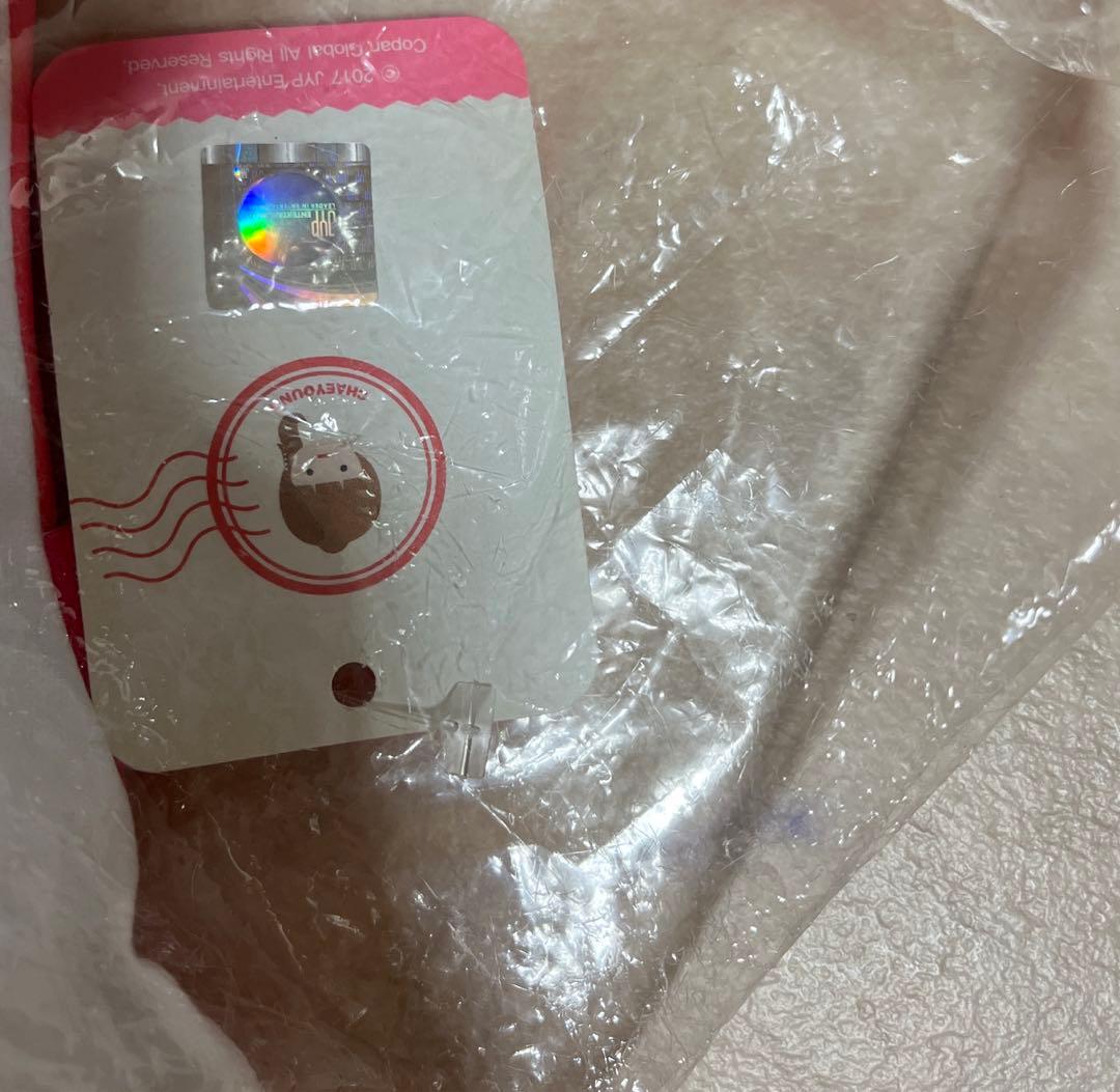 TWICE チェヨン　キャラクター クッション　トゥドゥンイ