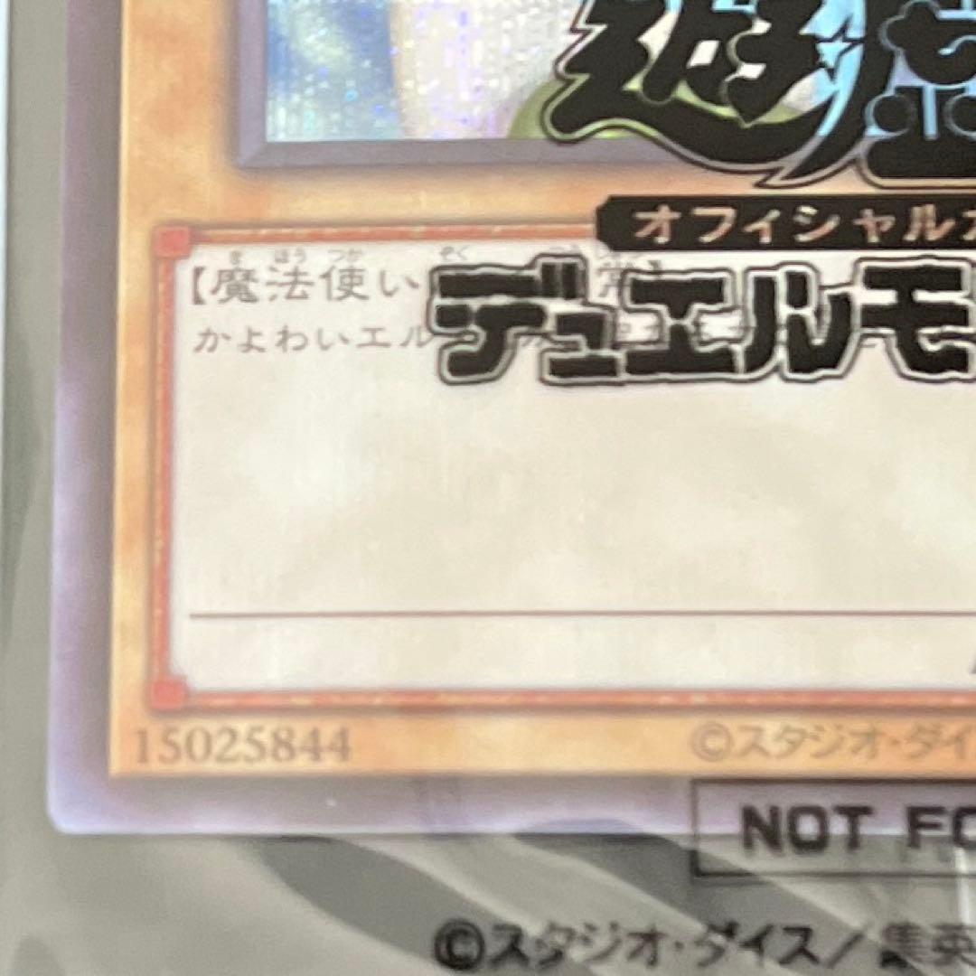 ホーリーエルフ　ブルシク　未開封