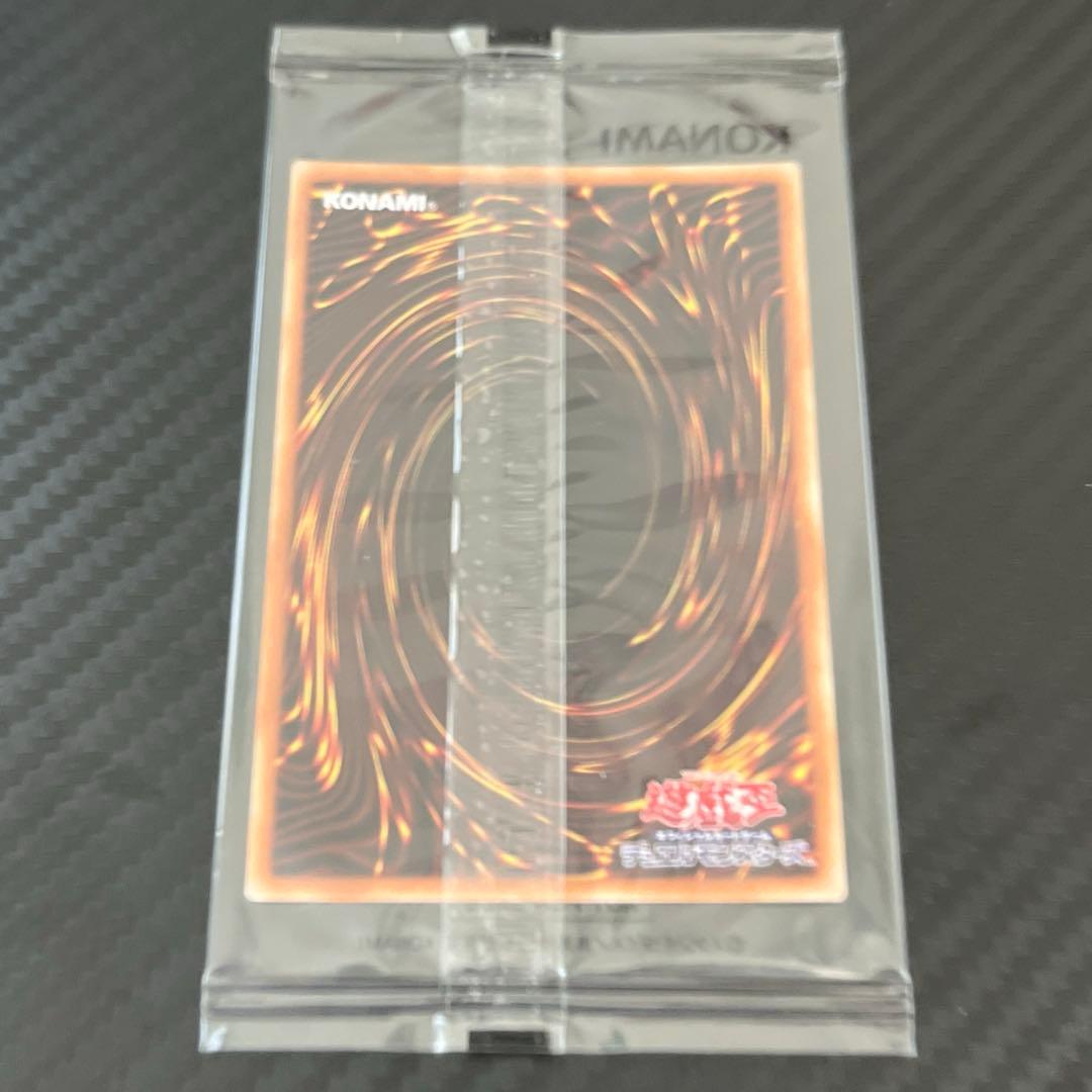 ホーリーエルフ　ブルシク　未開封