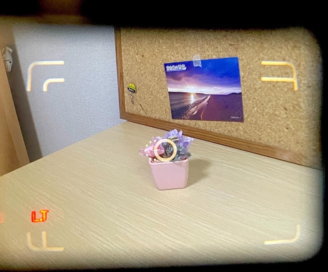 フィルムカメラ Contax T2