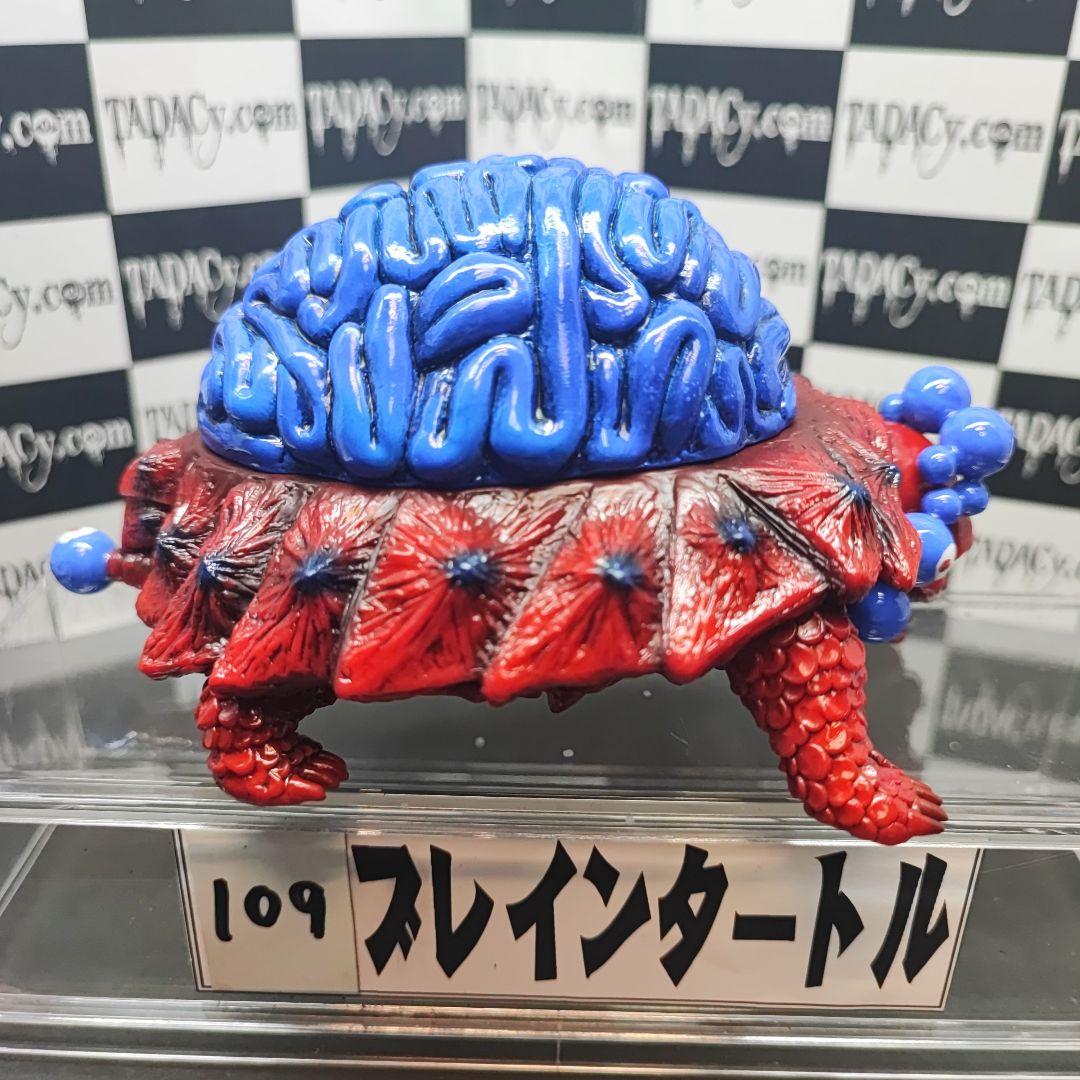 109ブレインタートル