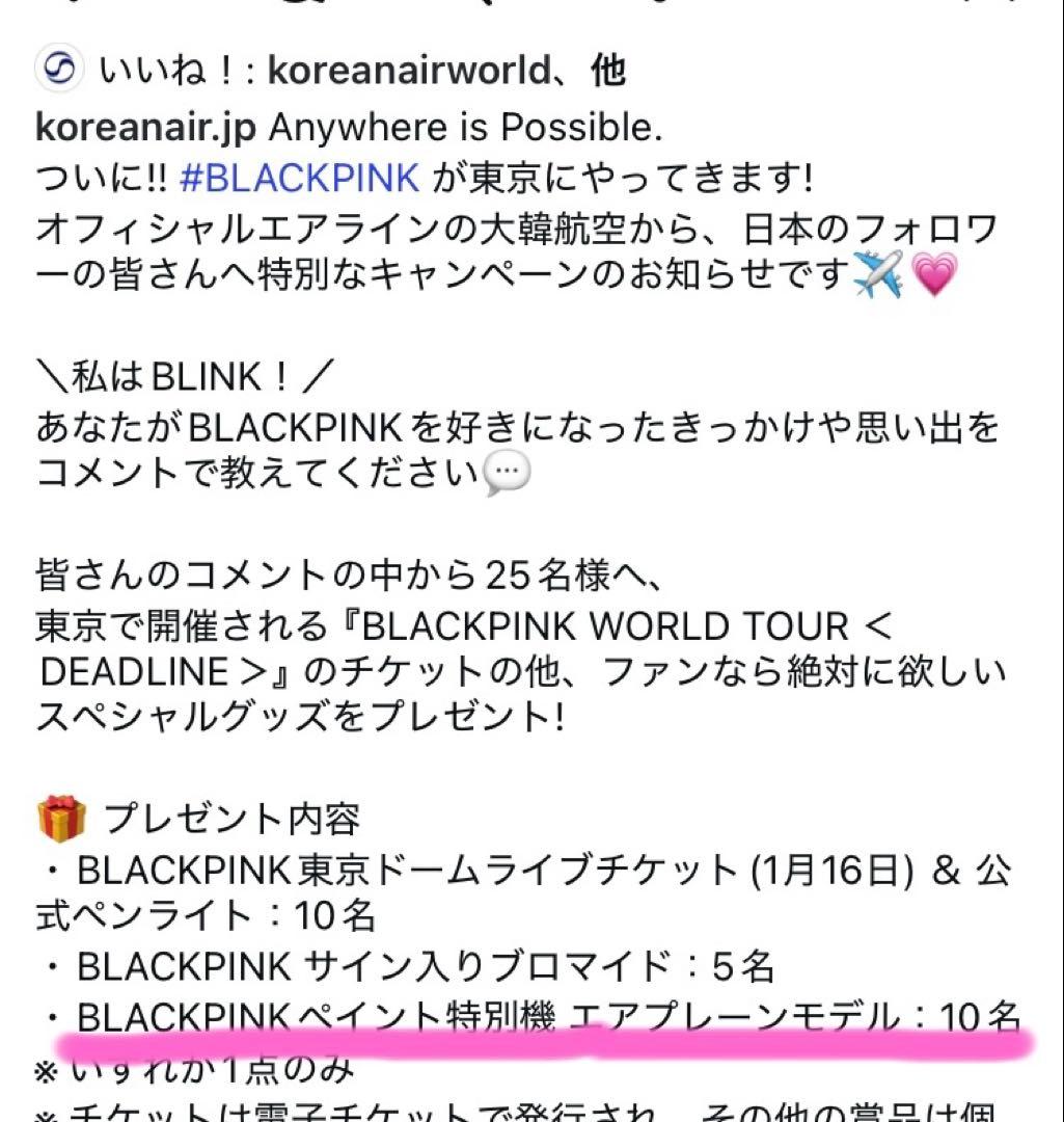 【非売品/当選品】BLACKPINK 大韓航空 特別塗装機 モデルプレーン 模型