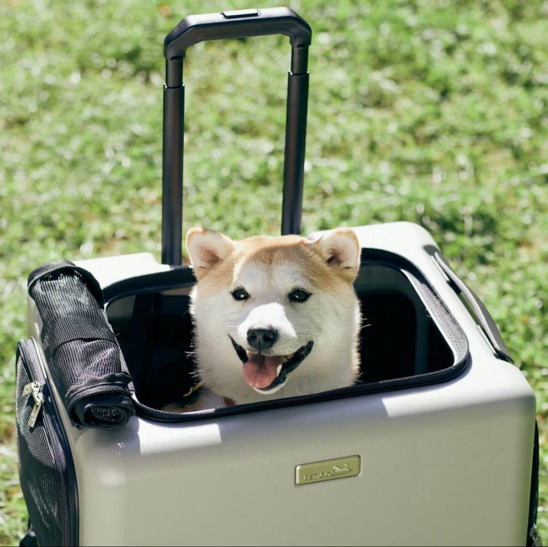 PETICO ペットキャリー　Lサイズ　グレー