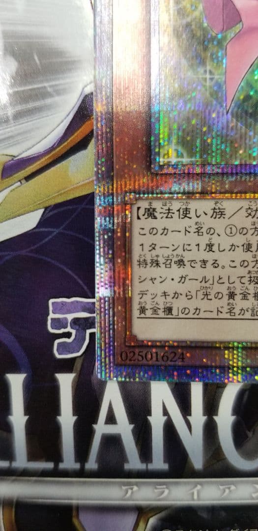 遊戯王 魔術師の弟子－ブラック・マジシャン・ガール クオシク