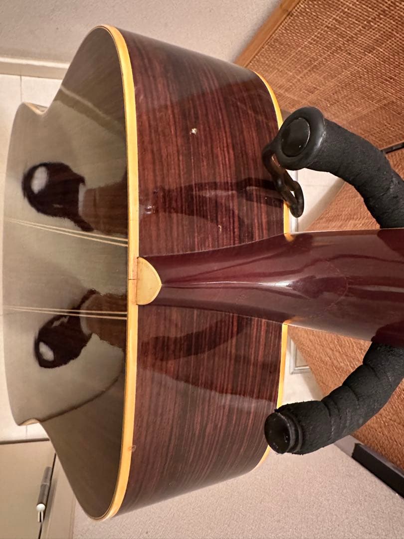 稀少❗️美品‼️Cats' eyes(キャッツアイ)CE-450D 東海楽器