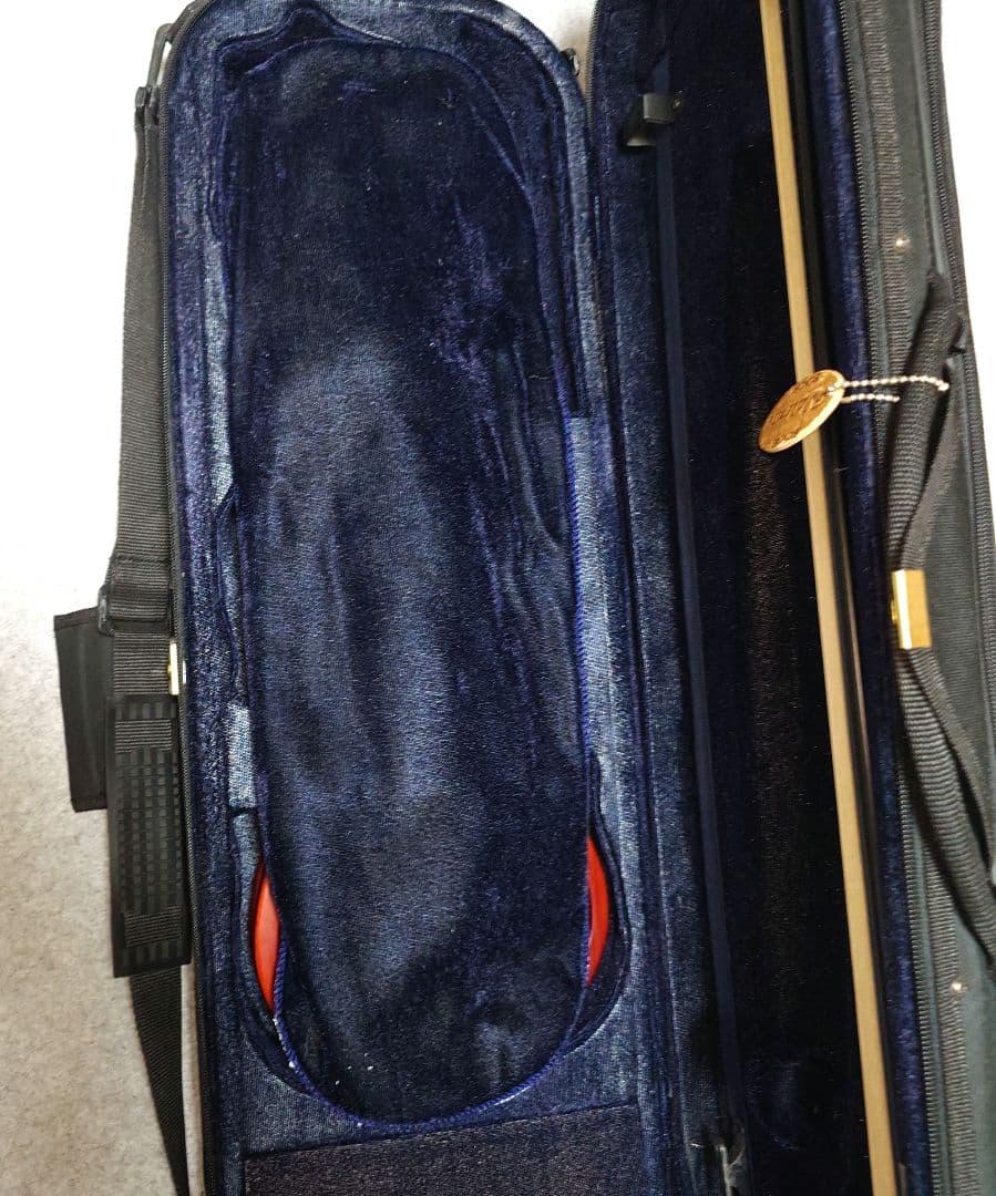 Valente エレキバイオリン EVN-37 ケース付き