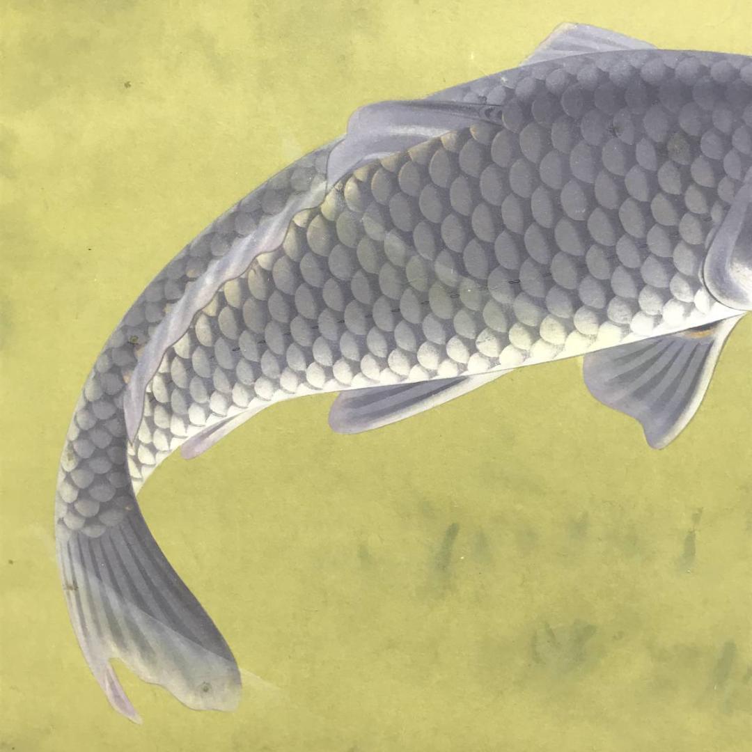 【真作】田之口青晃/鯉図/遊鯉図/コイ図/横物/掛軸/名家伝来/AD-728