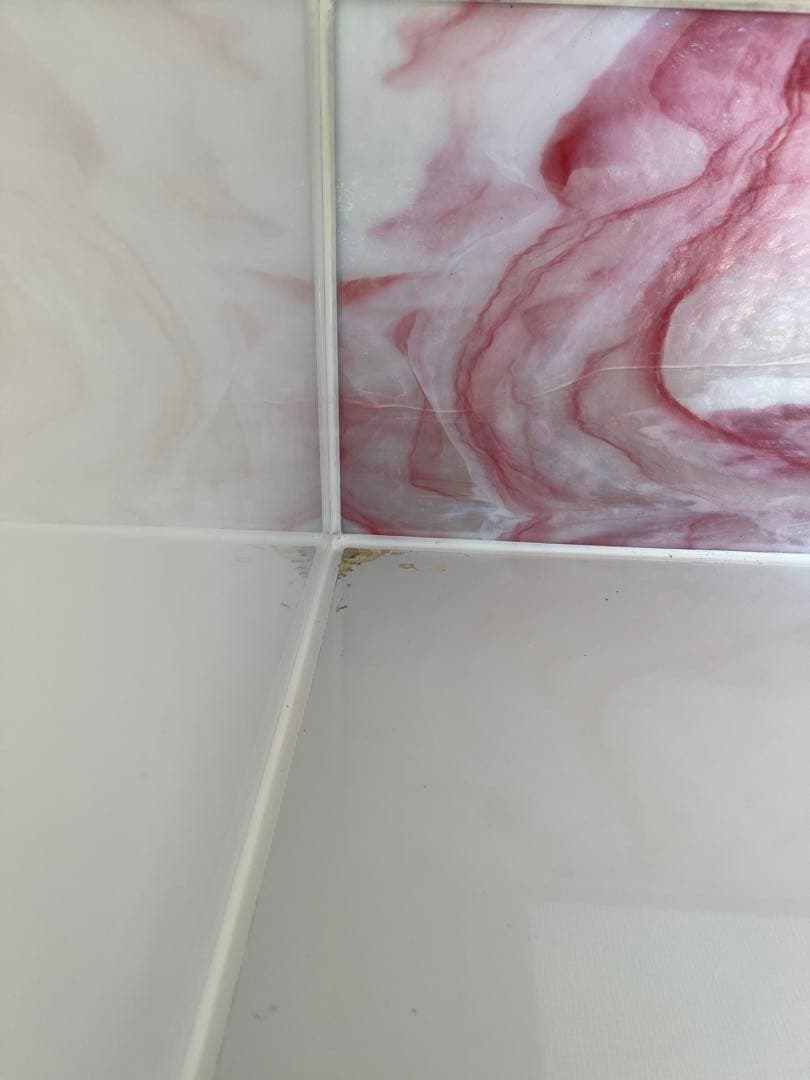 そら　龍匠 ガラス飼育ケージ