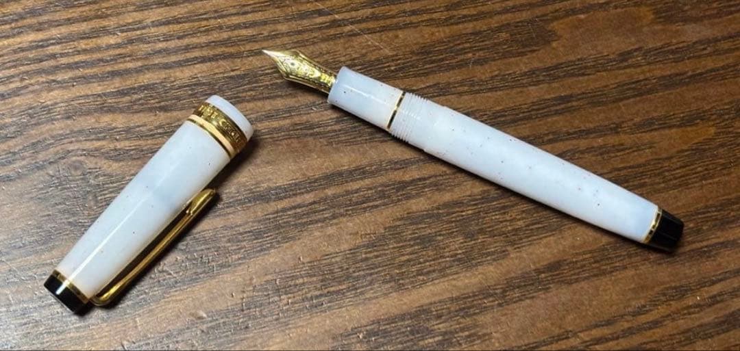 【廃盤品】セーラー万年筆　四季織　雪椿　MF中細字