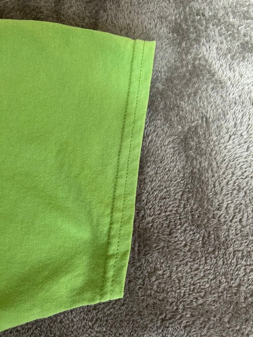 weezer グリーンアルバム　ウィーザー　L