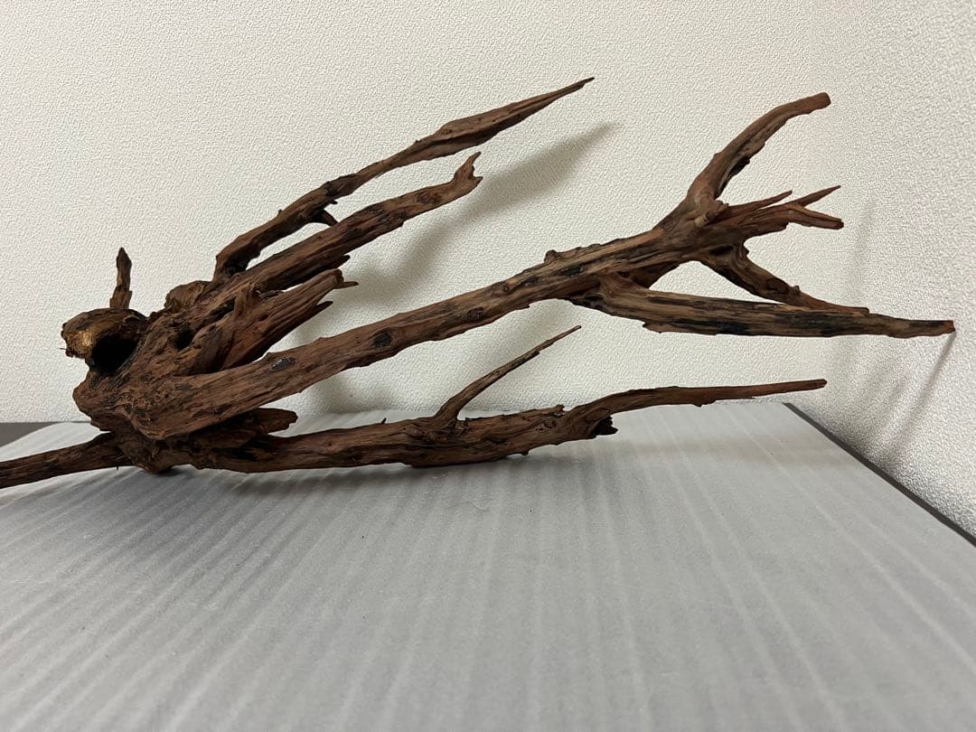 HX-083 流木　ホーンウッド　マシンガンウッド　アクアリウム　ブランチウッド