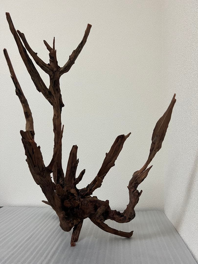 HX-083 流木　ホーンウッド　マシンガンウッド　アクアリウム　ブランチウッド