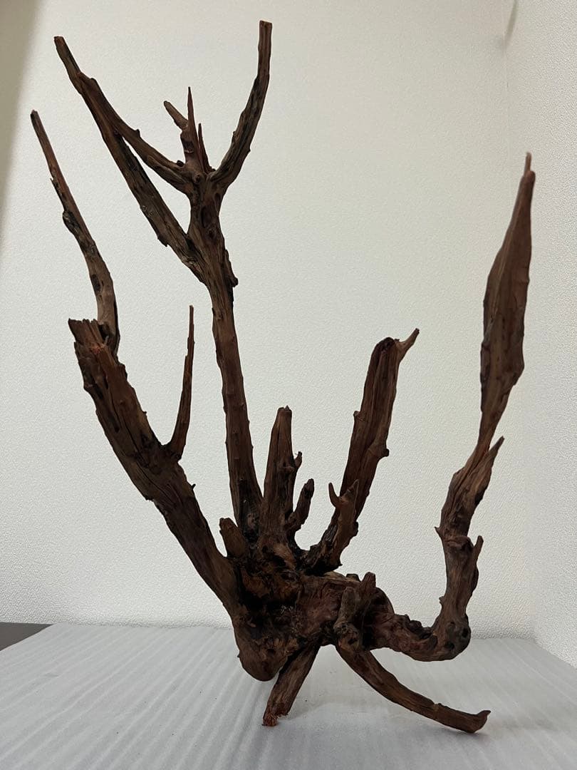 HX-083 流木　ホーンウッド　マシンガンウッド　アクアリウム　ブランチウッド