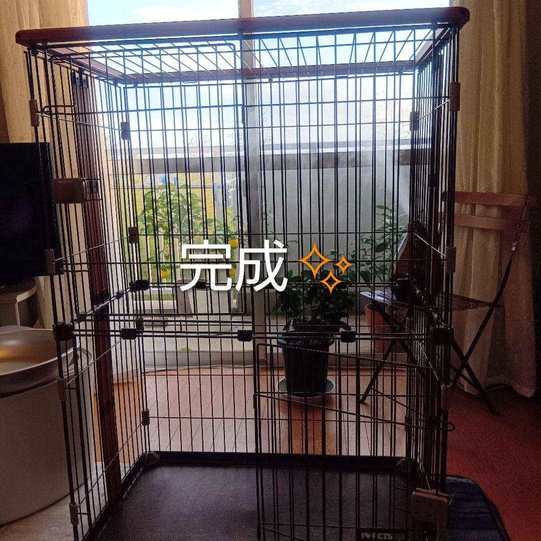 ボンビアルコン　ウッドワンサークルキャット2段