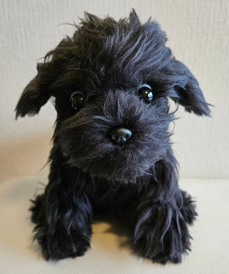 トイプードル　仔犬　ぬいぐるみ作家