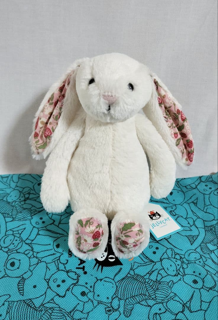  ブロッサムクリームバニー ベリー S うさぎ ジェリーキャット