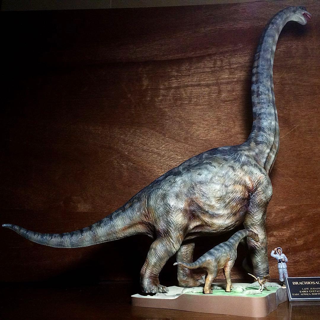 タミヤ ブラキオサウルス 情景セット 完成品！