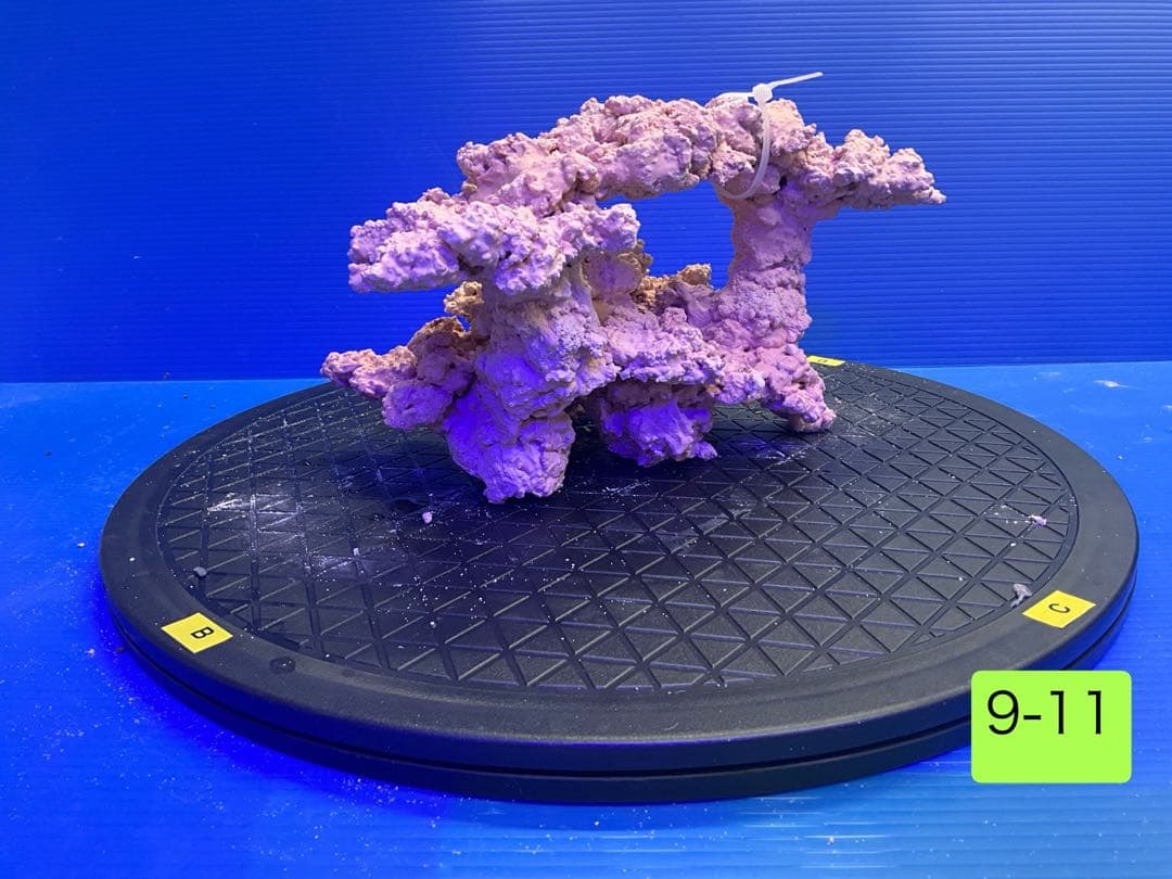 人工ライブロック　No.11 無害化処理済