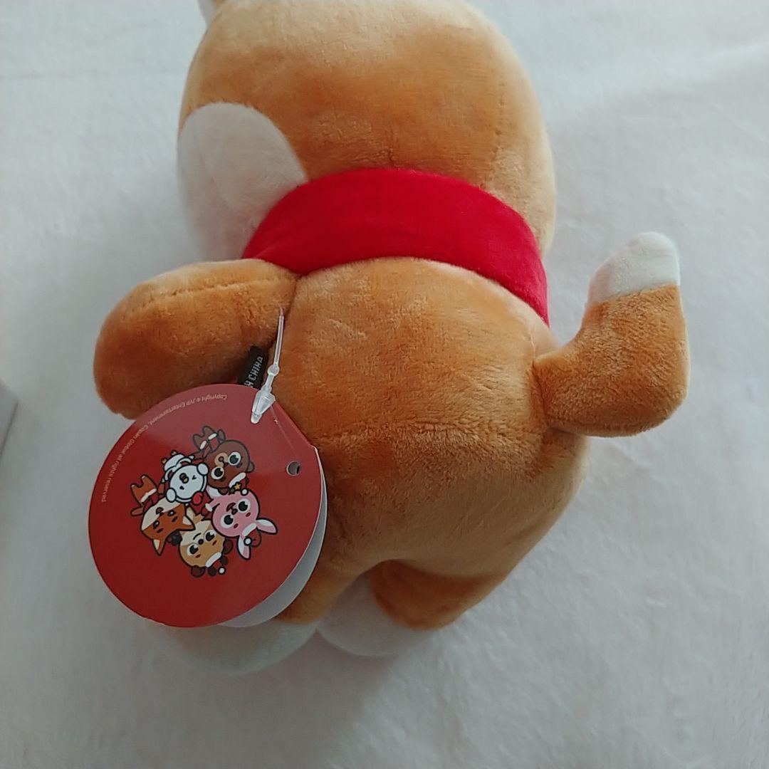 DAY6　ヨンケイ⑰