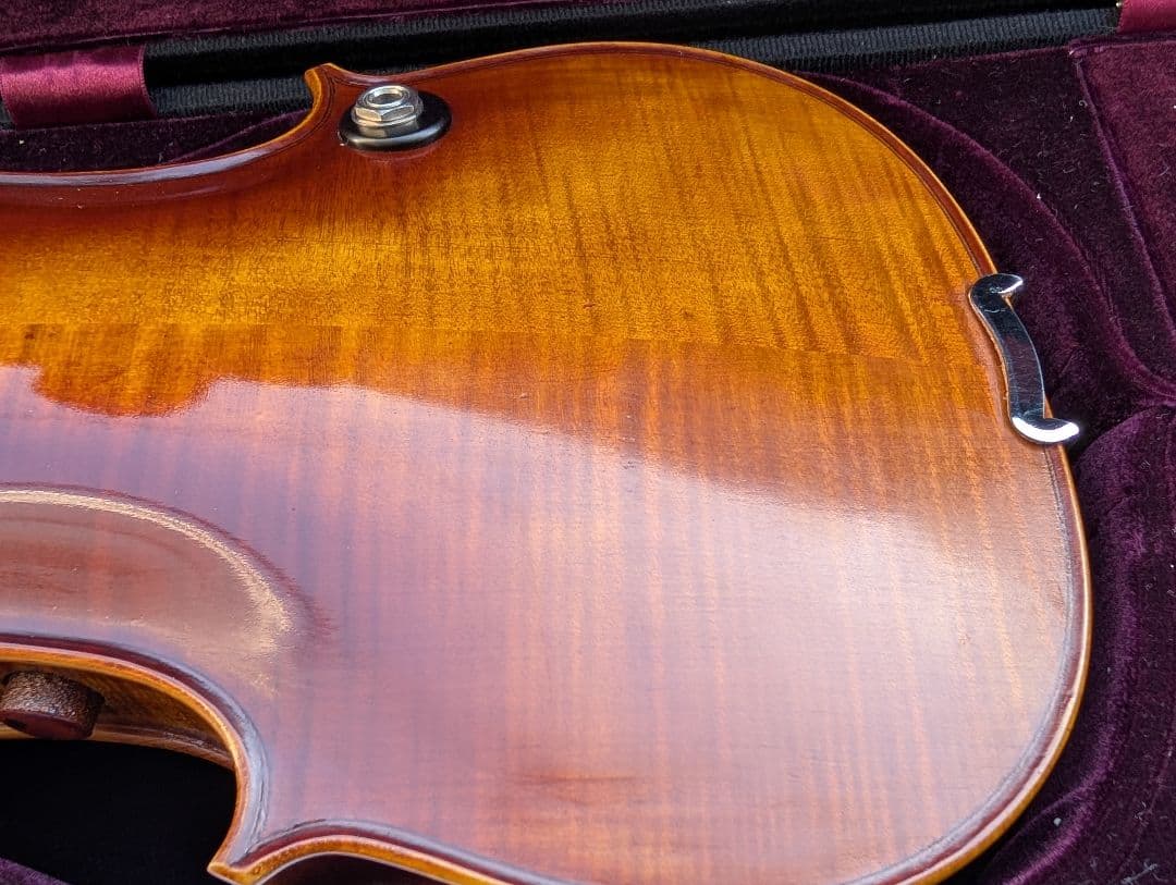 【特価】エレキバイオリン　David Gage　The Realist　RV4