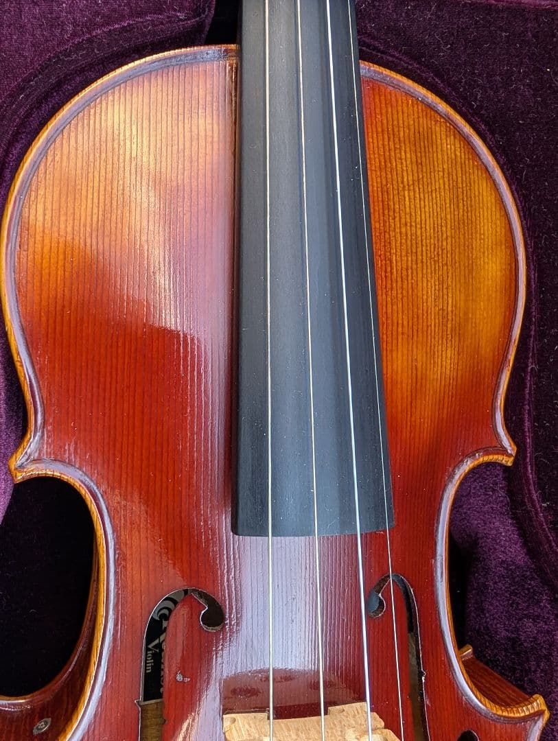 【特価】エレキバイオリン　David Gage　The Realist　RV4