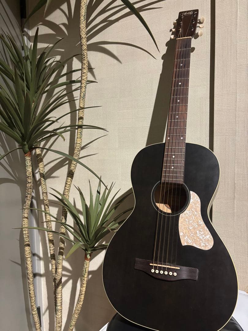 【美品】Art & Lutherie アコースティックギター／ケース付き