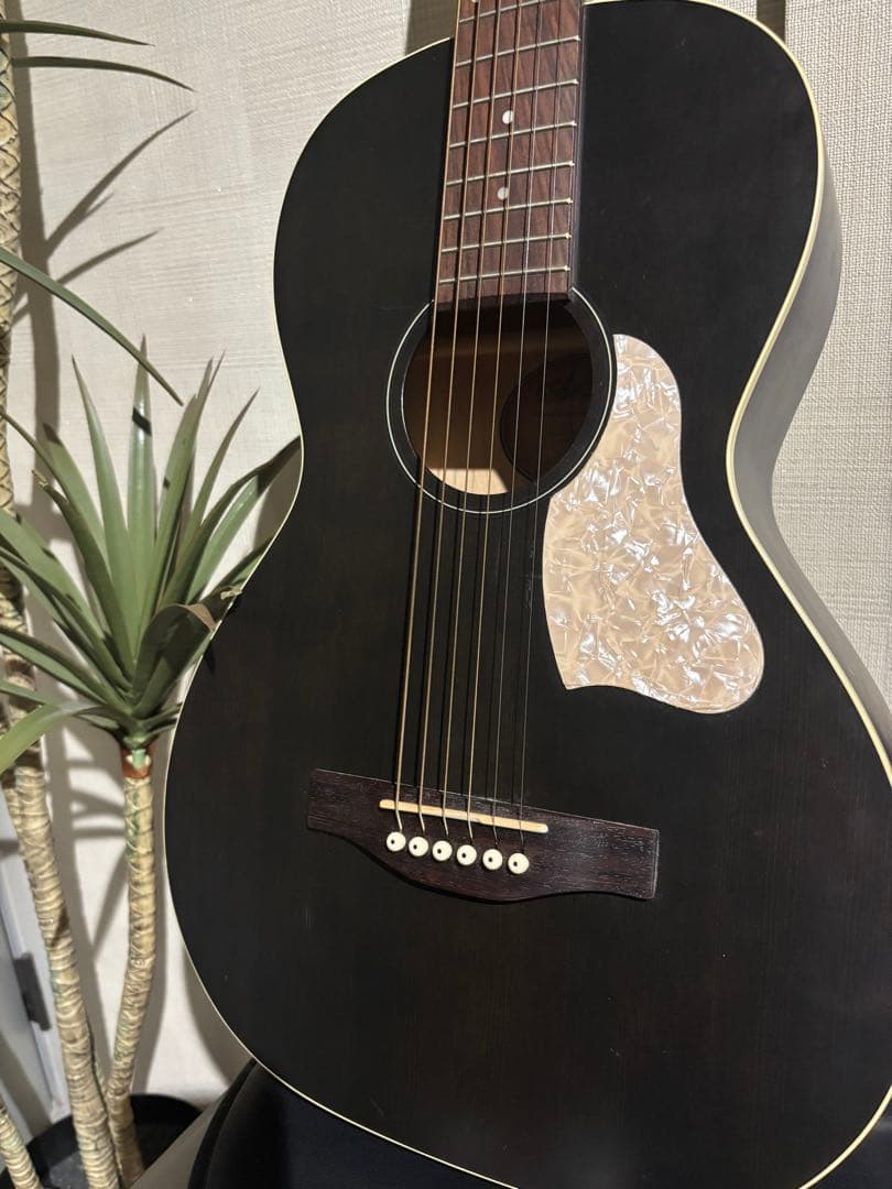 【美品】Art & Lutherie アコースティックギター／ケース付き