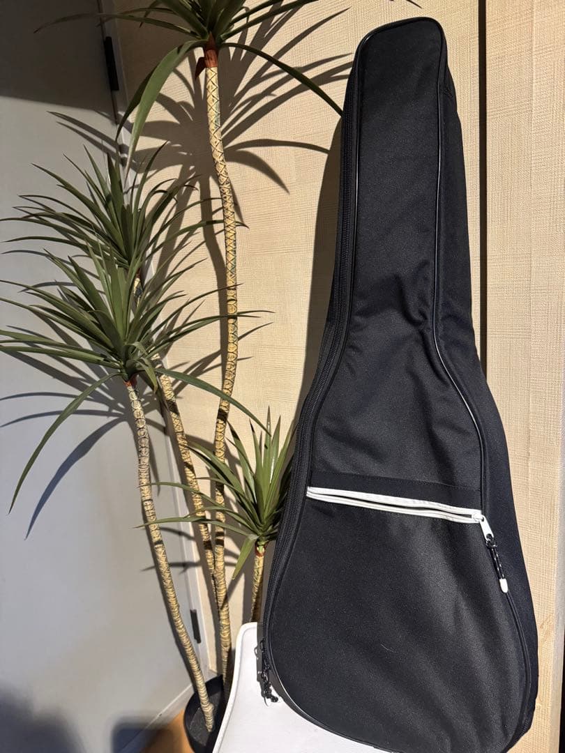 【美品】Art & Lutherie アコースティックギター／ケース付き