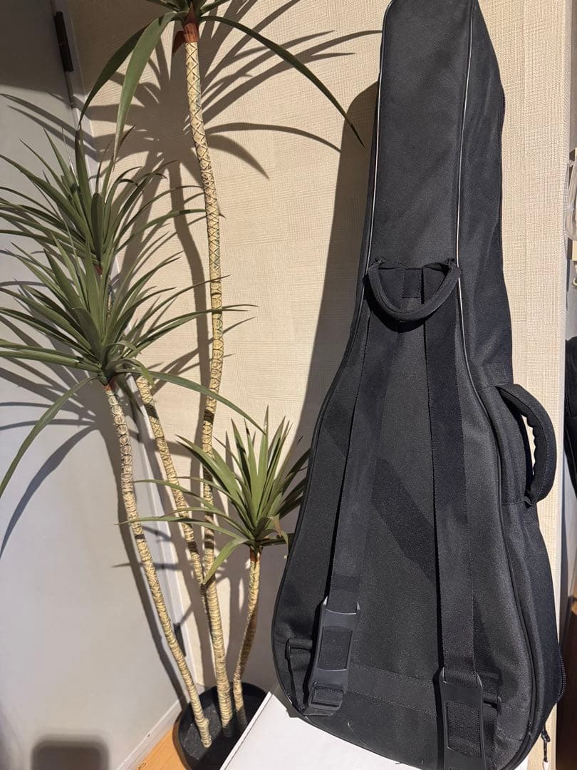 【美品】Art & Lutherie アコースティックギター／ケース付き