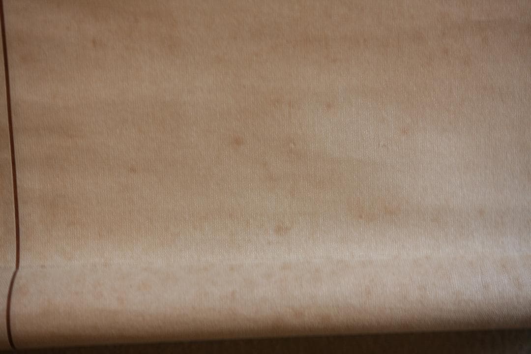 夏山水と船の図　　在銘刻印あり　水墨画　掛け軸