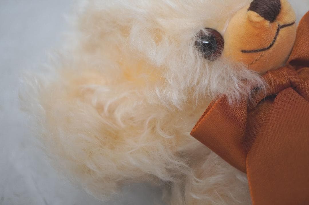 【M2512-19】メリーソート テディベア 10/50 チーキー クリーム