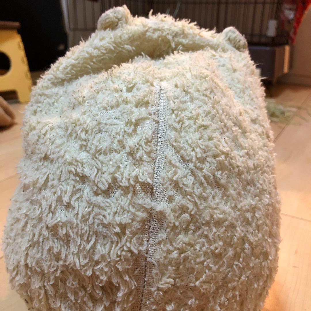 ウサシンの宝物、うんちゃん