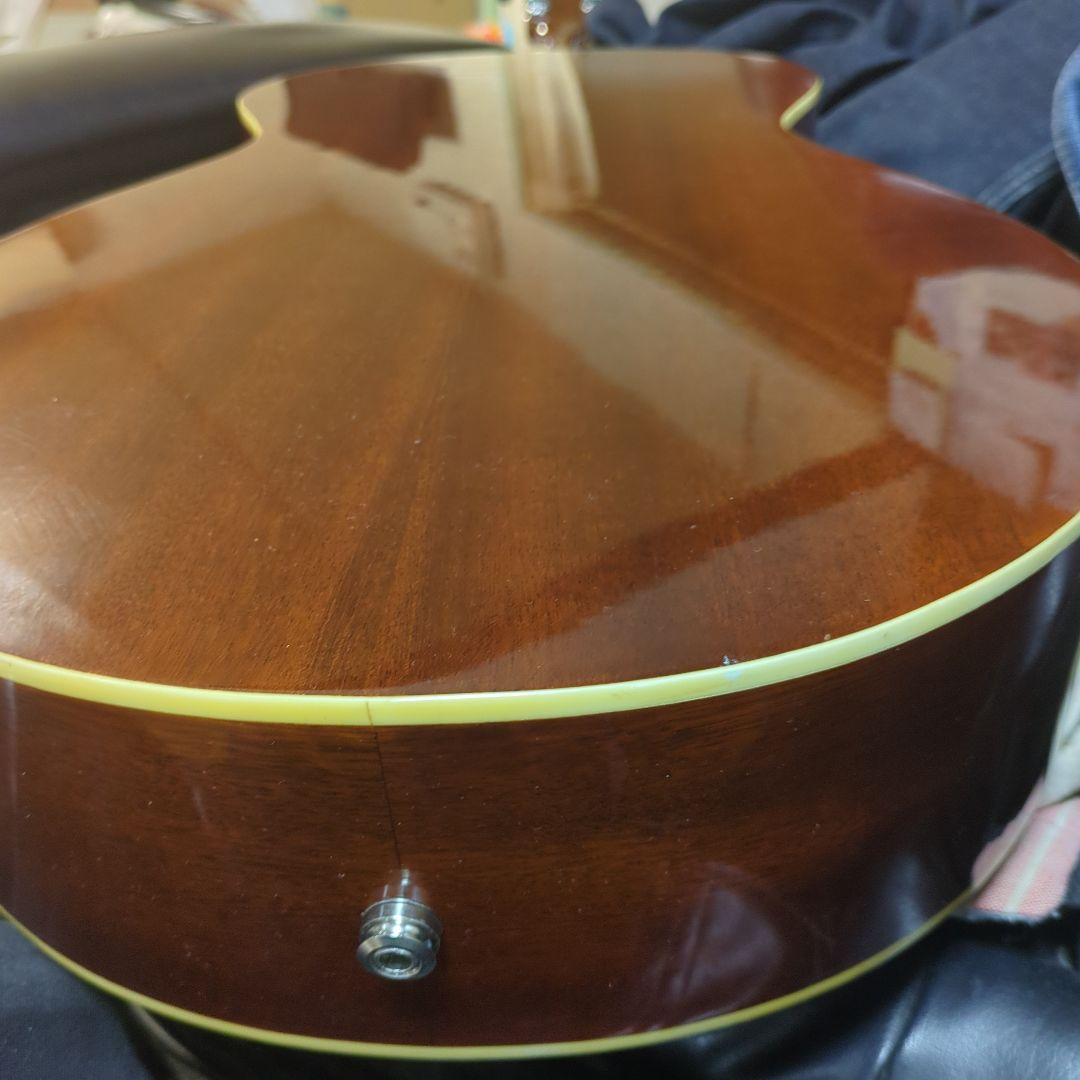 Wood Land エレアコ、 パーラーギター.WL-5