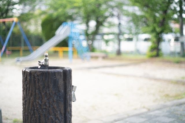 【玉ボケが綺麗なオールドレンズ】smc takumar 55mm f1.8