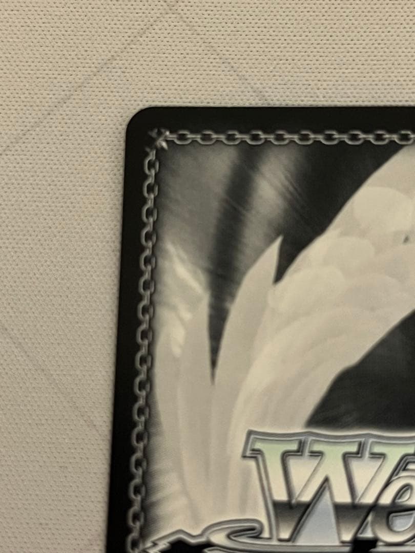 ws ヴァイスシュヴァルツ　ヒンデンブルク　sp サイン