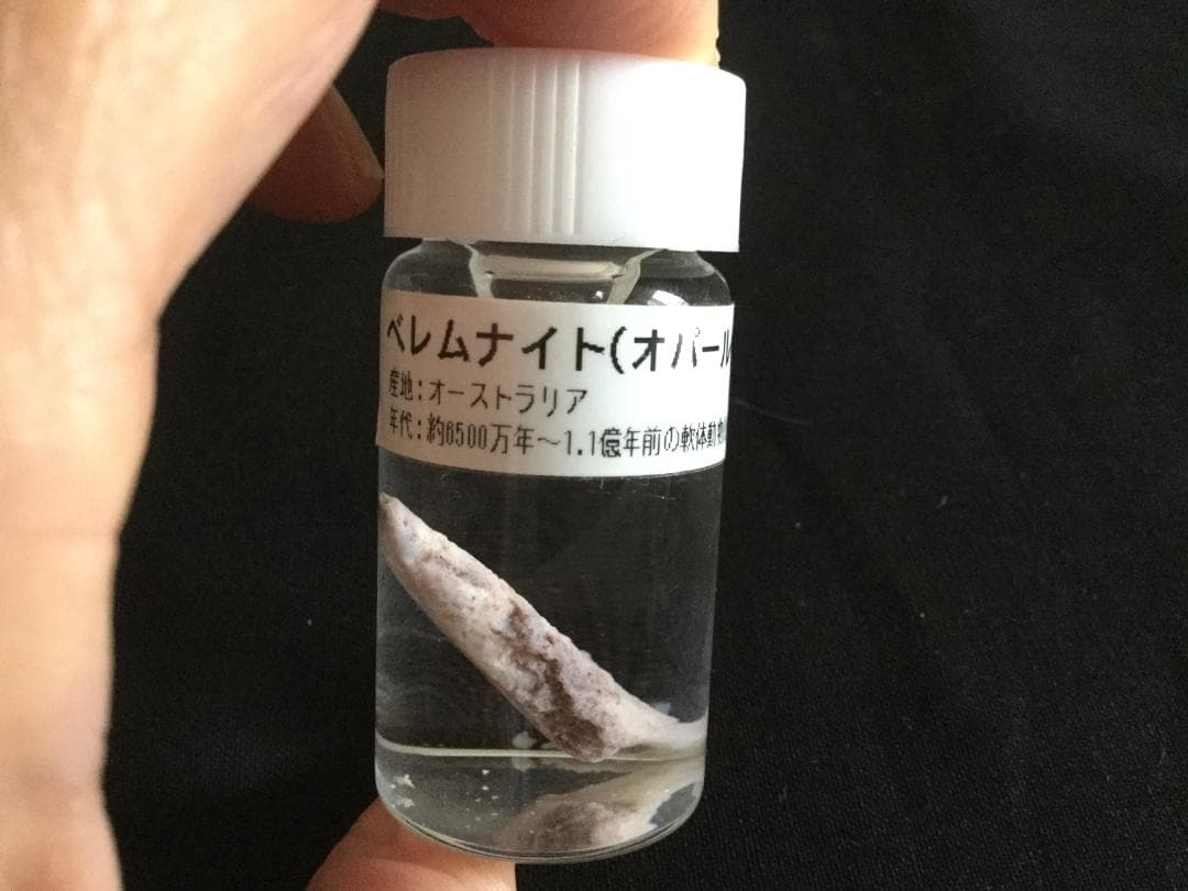 べレムナイト　オパール化　オーストラリア