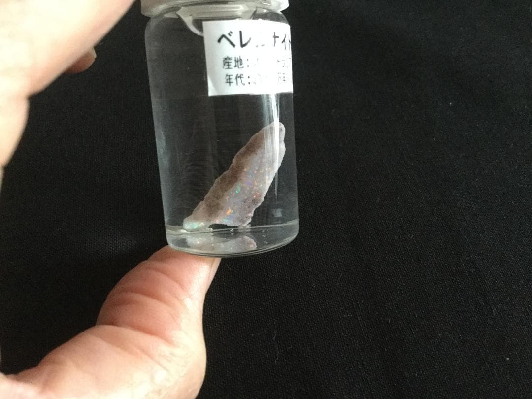 べレムナイト　オパール化　オーストラリア