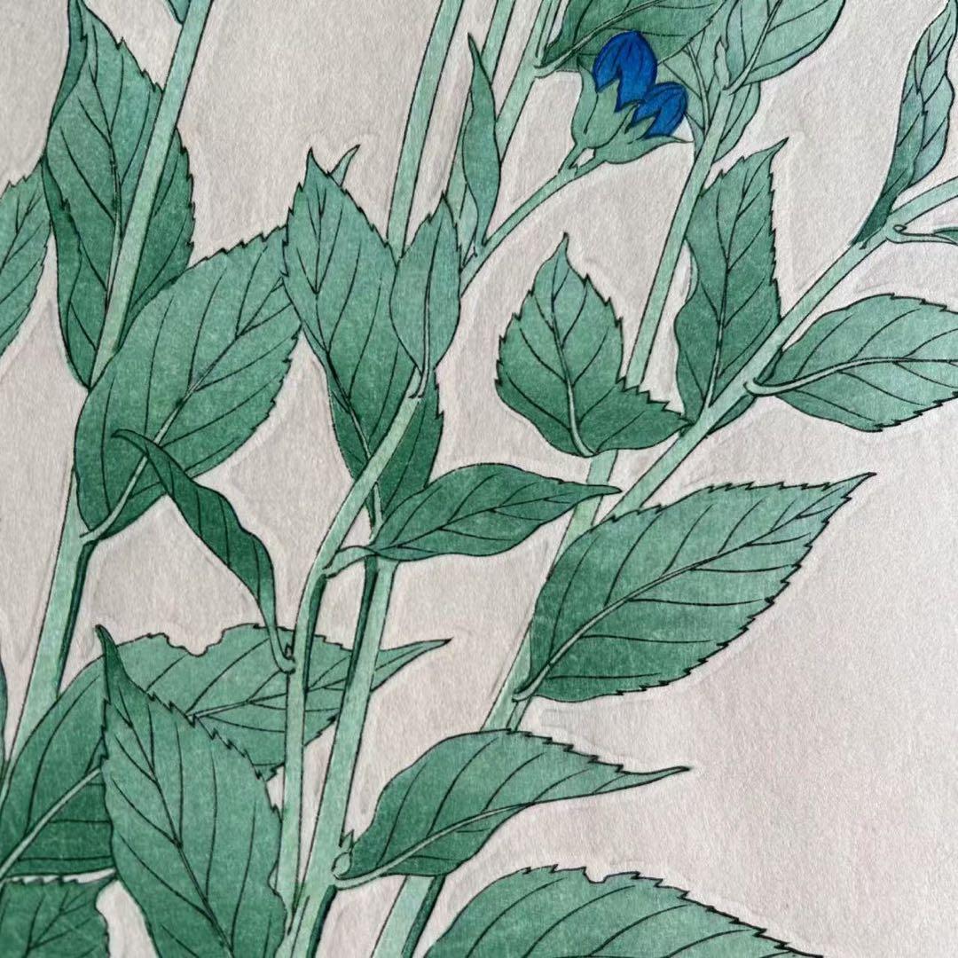 河原崎奨堂 芸艸堂 花の木版画 桔梗