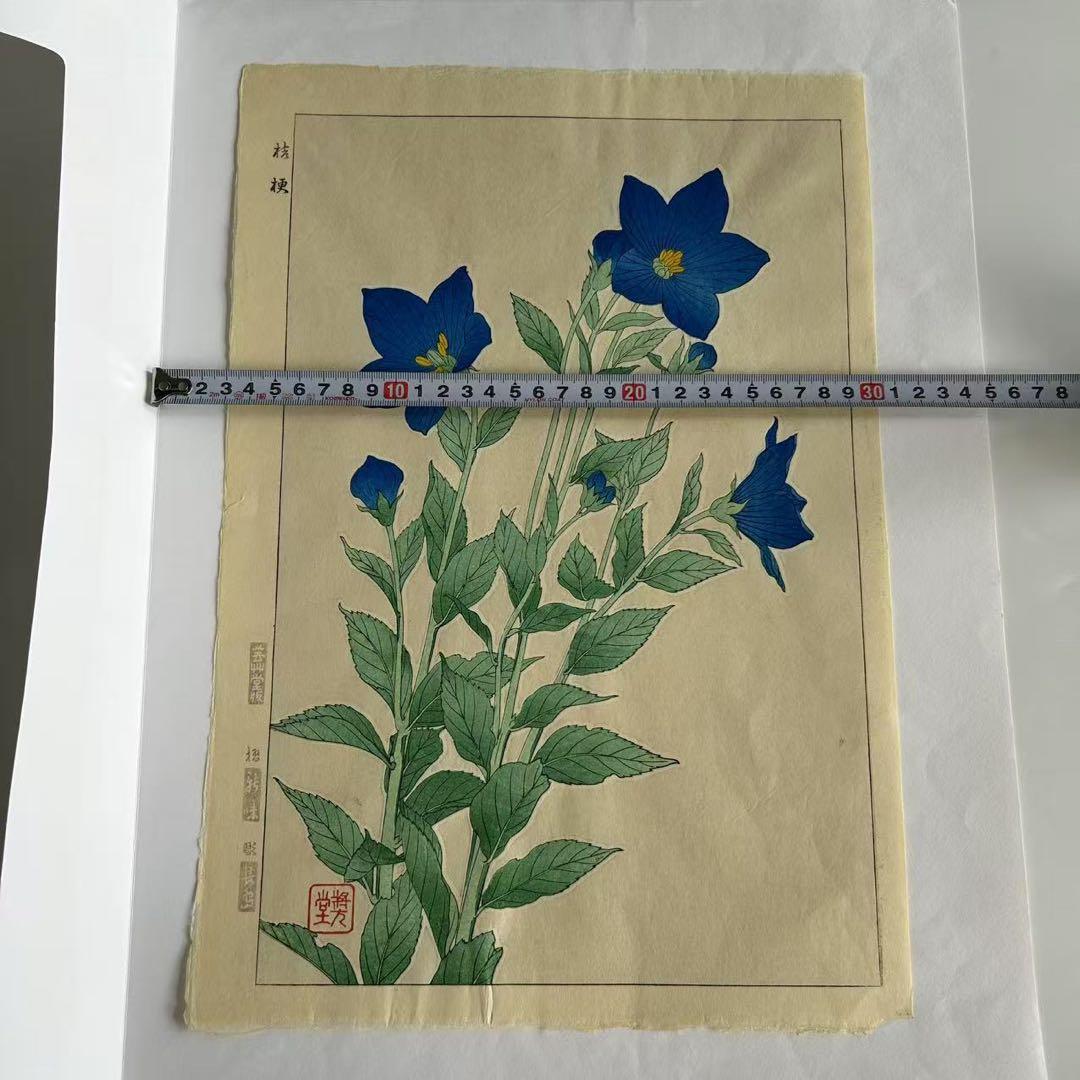 河原崎奨堂 芸艸堂 花の木版画 桔梗