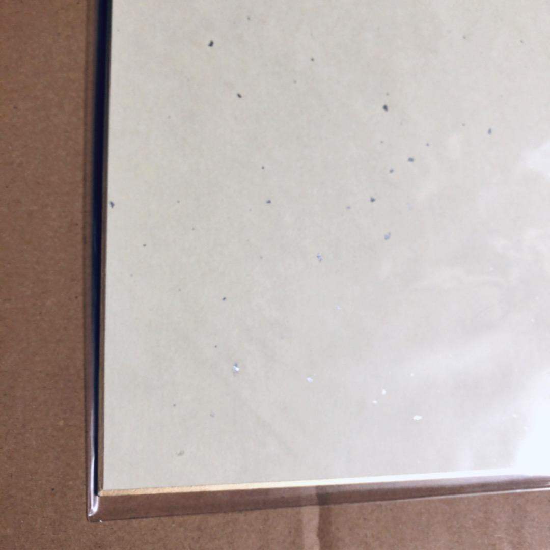 サイン入り 複製色紙 しらたま たまトーク2019 しらたまこ つららちゃん