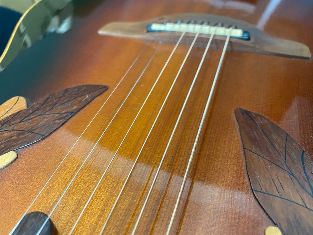 アコースティックギター　ovation